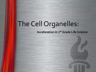 The Cell Organelles: 			Acceleration in 7 th  Grade Life Science