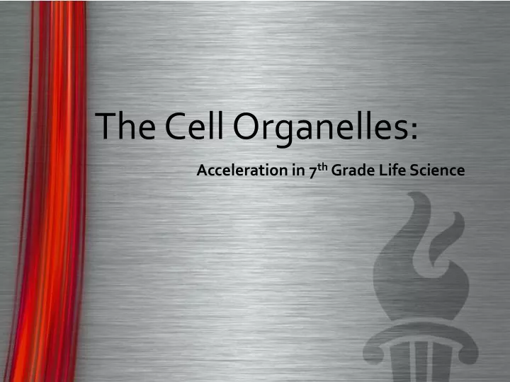 the cell organelles acceleration in 7 th grade