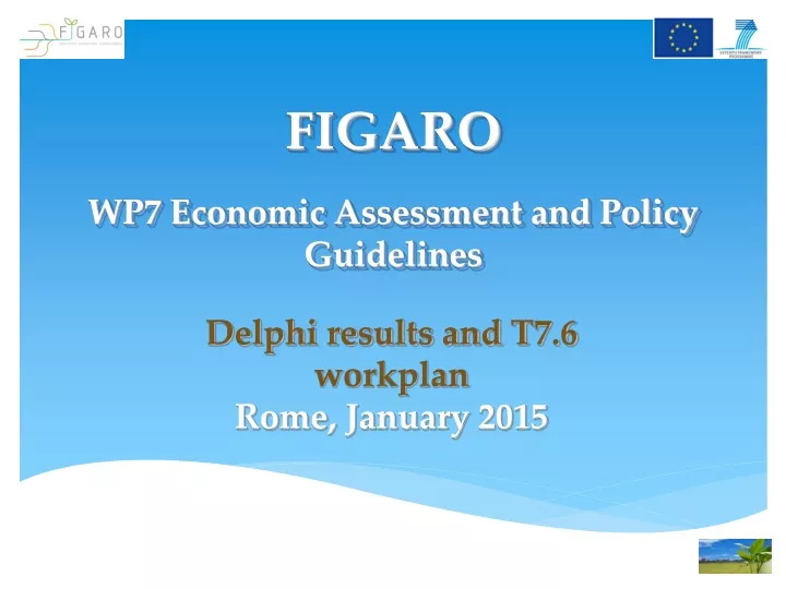 figaro wp7 economic assessment and policy