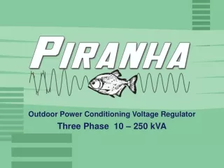 Outdoor Power Conditioning Voltage Regulator