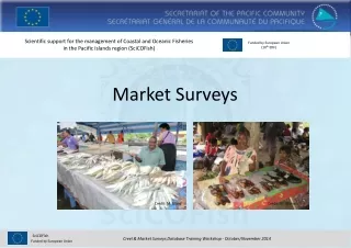 Market Surveys