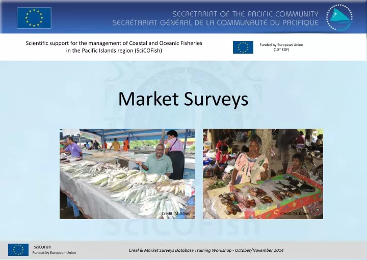 market surveys