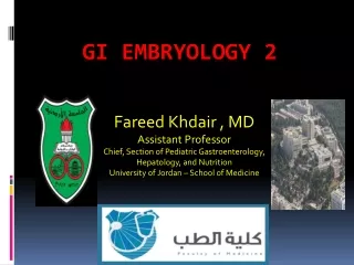 GI embryology 2