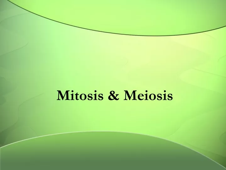 mitosis meiosis