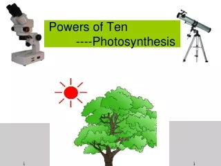Powers of Ten         ----Photosynthesis