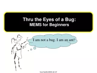 T hru the Eyes of a Bug : MEMS for  Beginners