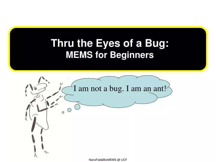 t hru the eyes of a bug mems for beginners
