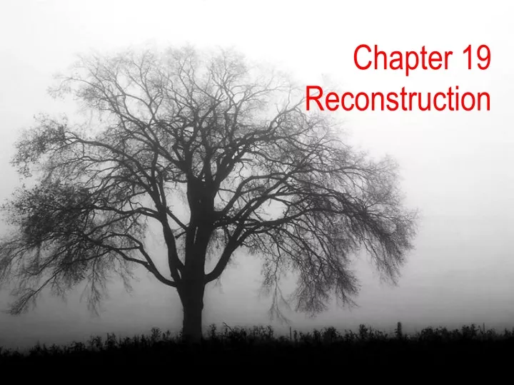 chapter 19 reconstruction