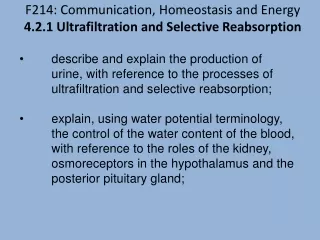 F214: Communication, Homeostasis and Energy 4.2.1 Ultrafiltration and Selective Reabsorption