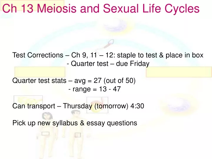 ch 13 meiosis and sexual life cycles