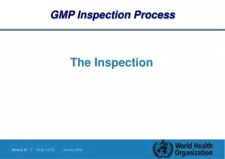 GMP Inspection Process