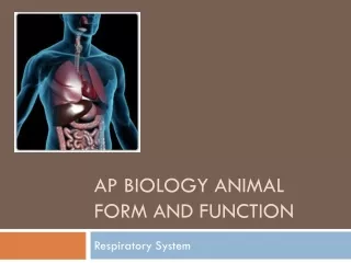 AP Biology Animal Form and Function