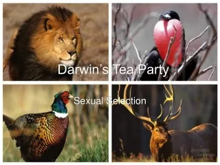 Darwin’s Tea Party