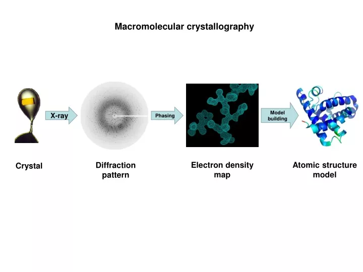 macromolecular crystallography