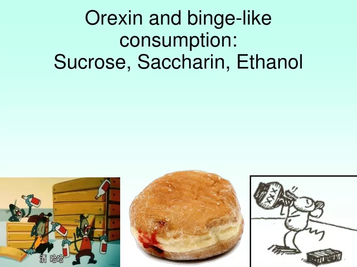 orexin and binge like consumption sucrose saccharin ethanol