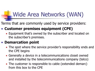 Wide Area Networks (WAN)