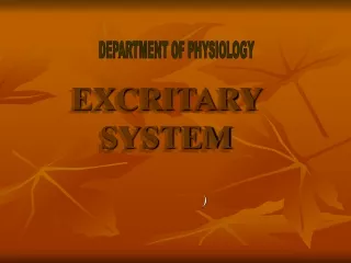 EXCRITARY SYSTEM