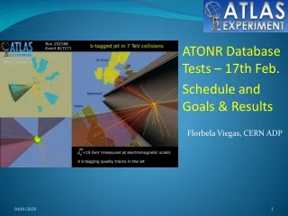 ATONR  Database  Tests – 17th  Feb . Schedule and Goals &amp;  Results Florbela Viegas, CERN ADP
