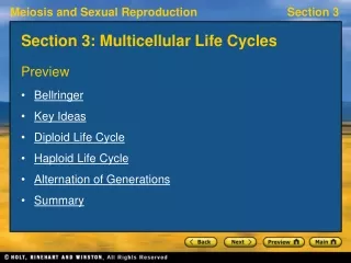Section 3: Multicellular Life Cycles