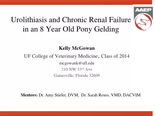 Urolithiasis and Chronic Renal Failure in an 8 Year Old Pony Gelding