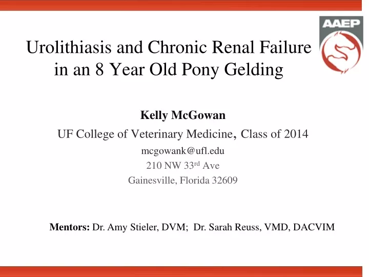 urolithiasis and chronic renal failure in an 8 year old pony gelding