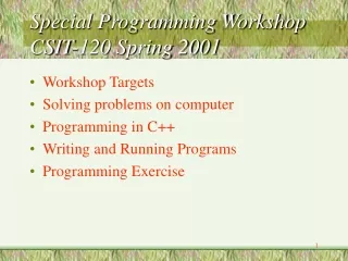 Special Programming Workshop CSIT-120 Spring 2001