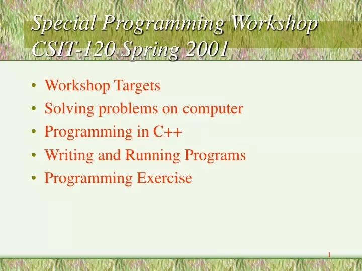 special programming workshop csit 120 spring 2001