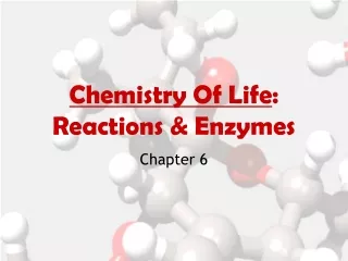 Chemistry Of Life : Reactions &amp; Enzymes