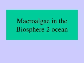 Macroalgae in the Biosphere 2 ocean