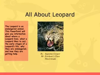 All About Leopard