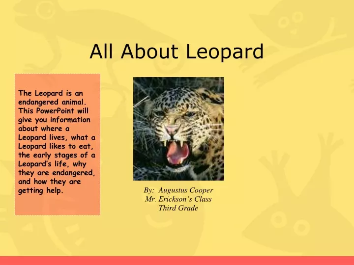 all about leopard