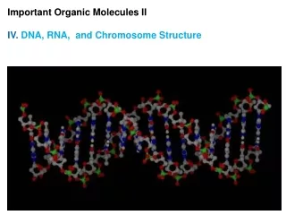 Important Organic Molecules II IV.  DNA, RNA,  and Chromosome Structure