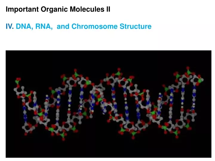 important organic molecules