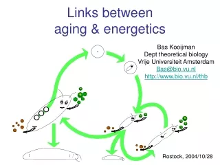 Links between  aging &amp; energetics