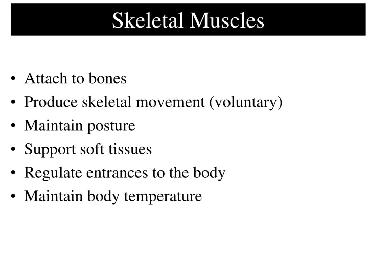 skeletal muscles