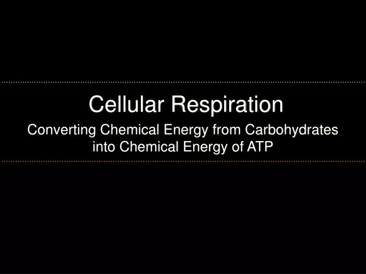 cellular respiration