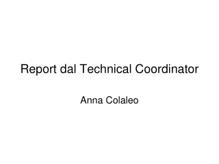 Report dal Technical Coordinator