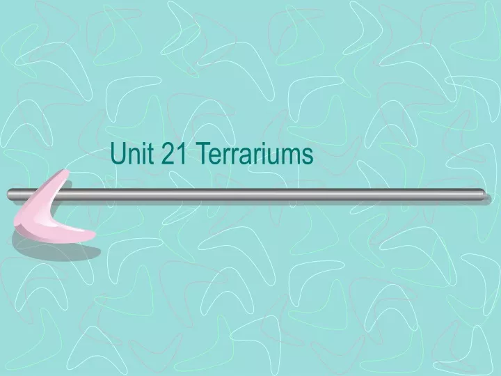 unit 21 terrariums