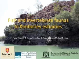 Fish and invertebrate faunas in Kimberley estuaries