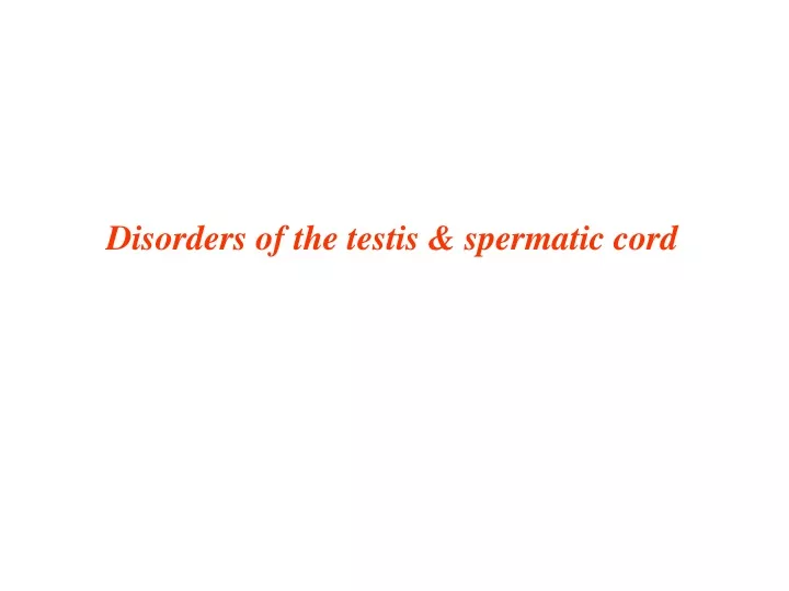 disorders of the testis spermatic cord
