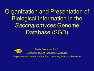 Maria Costanzo, Ph.D. Saccharomyces  Genome Database