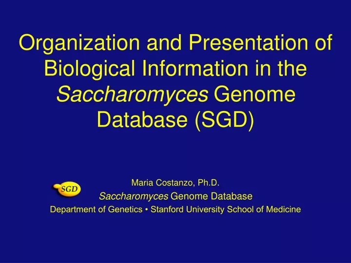 organization and presentation of biological information in the saccharomyces genome database sgd