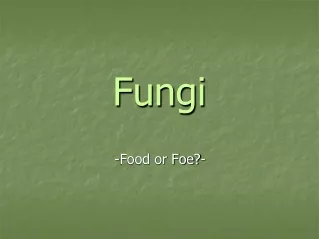 Fungi