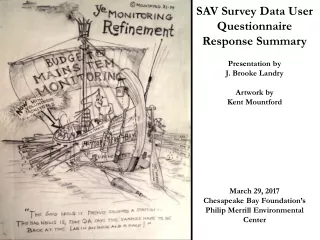 SAV Survey Data User  Questionnaire Response Summary