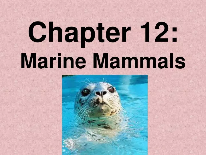 chapter 12 marine mammals