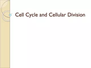 Cell Cycle and Cellular Division