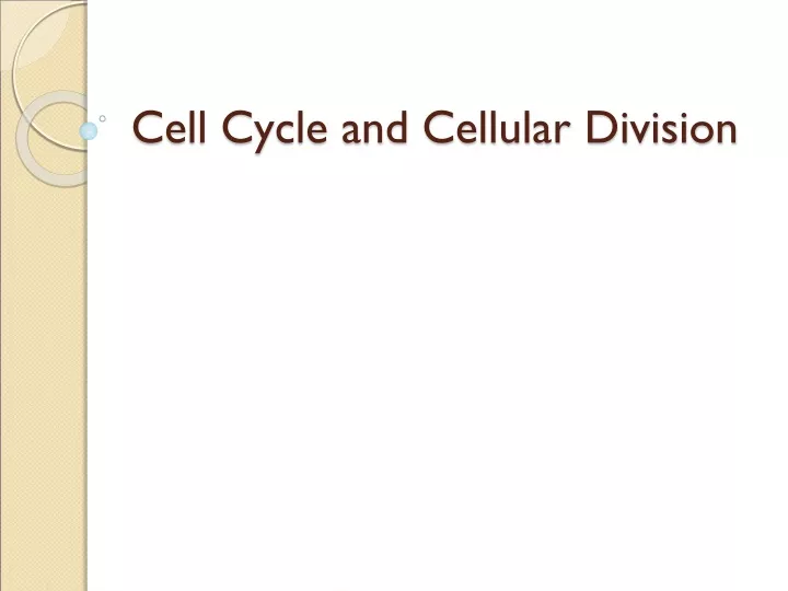 cell cycle and cellular division
