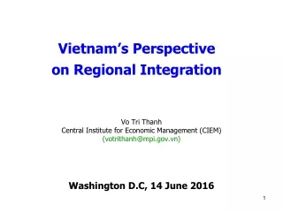 Vietnam’s Perspective  on Regional Integration