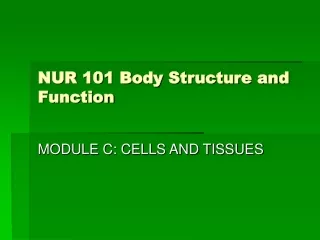 NUR 101 Body Structure and Function