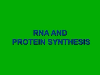 RNA AND  PROTEIN SYNTHESIS